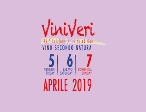 ViniVeri XVI Edizione